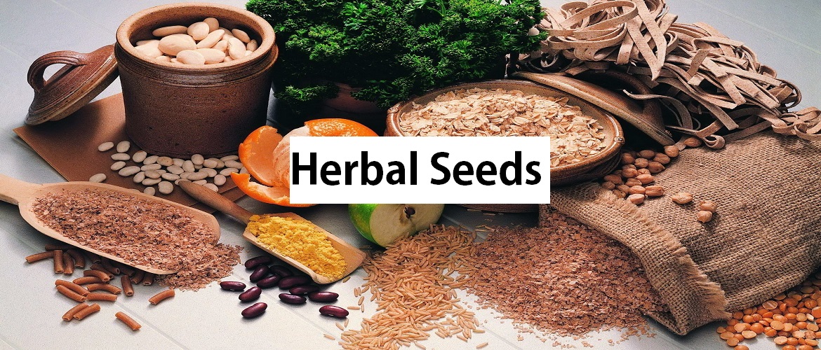Herbal Seeds